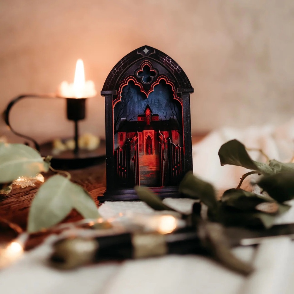 The Bookish Box St. Vladimir Vampire Academy Wanderlust Window